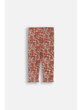 Coccodrillo Coccodrillo Legginsy ZC4122101CGN-022 Kolorowy