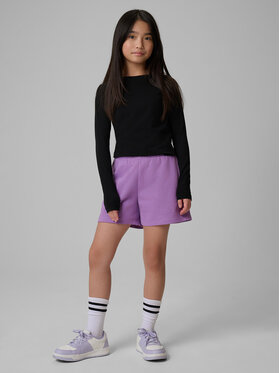 4F 4F Szorty sportowe BASIC+ Fioletowy Regular Fit