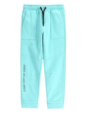 Coccodrillo Coccodrillo Спортивні штани WC5120103CBK Блакитний Regular Fit