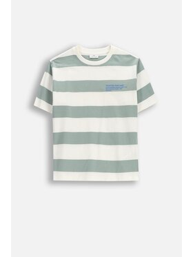 Coccodrillo Coccodrillo T-Shirt WC6143206NBJ-011 Zelená Regular Fit