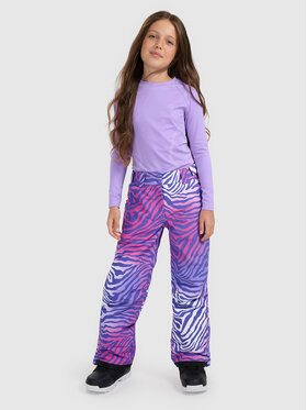 4F 4F Spodnie snowboardowe SNOWBOARD Kolorowy Regular Fit