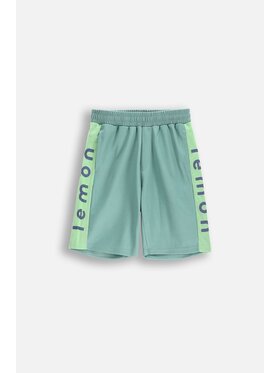 Lemon Explore Lemon Explore Szorty WL5120502ACB-012 Zielony Regular Fit