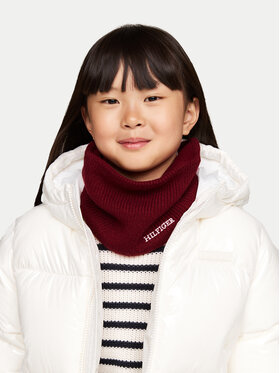 Λαιμός Tommy Hilfiger φωτογραφία