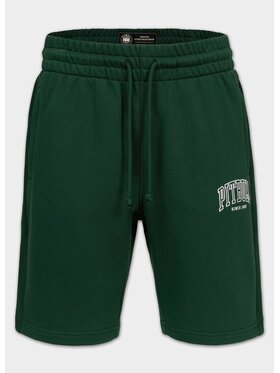 PITBULL PITBULL Szorty sportowe BADGER Zielony Regular Fit