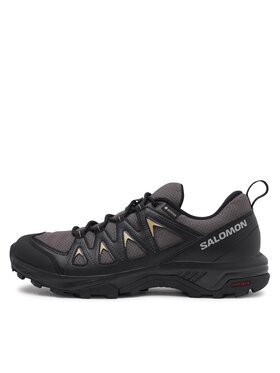 Salomon Superge X Braze GORE-TEX L47180500 Siva