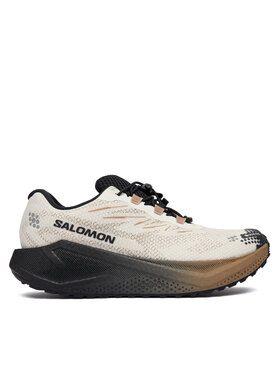 Salomon Salomon Scarpe running Aero Blaze 4 gtx GORE-TEX L45403200 Beige
