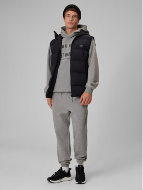 4F 4F Spodnie dresowe CITY FORM Szary Regular Fit