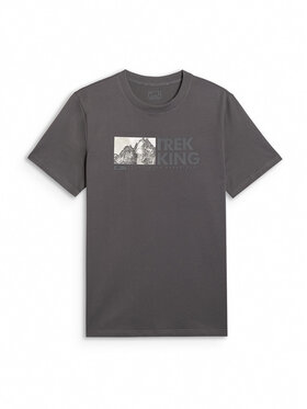 4F 4F T-Shirt TREKKING Szary Regular Fit