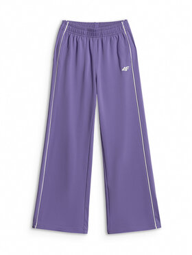 4F 4F Spodnie dresowe AQUA FORCE Fioletowy Regular Fit