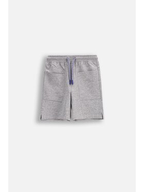 Coccodrillo Coccodrillo Szorty WC5120503IBK-019 Szary Regular Fit