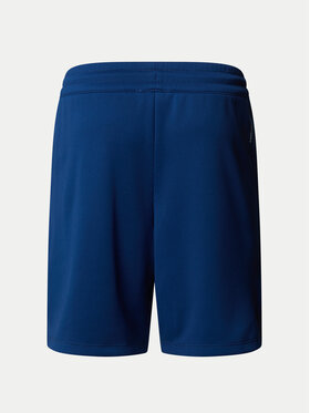 Αθλητικό σορτς The North Face φωτογραφία