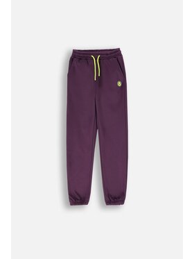 Lemon Explore Lemon Explore Spodnie dresowe ZL4120901ACG-016 Fioletowy Regular Fit