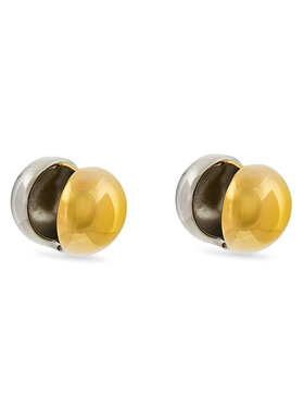 Σκουλαρίκια Aldo φωτογραφία