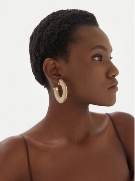 Σκουλαρίκια Aldo φωτογραφία