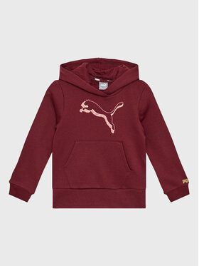 Puma Puma Džemperis Alpha 670226 Vyšninė Regular Fit