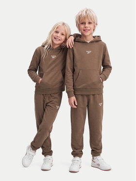 Reebok Reebok Jogginganzug RK95228CCB Braun Regular Fit