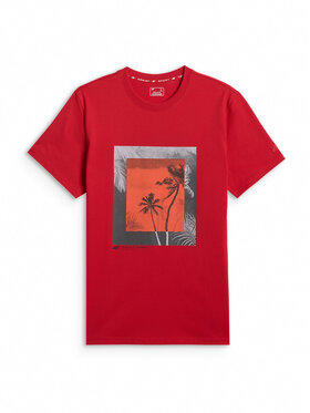 4F 4F T-Shirt BEACHWEAR Czerwony Regular Fit