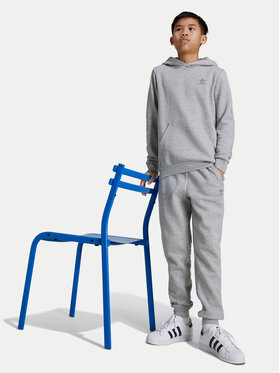 adidas adidas Світшот IX5285 Сірий Regular Fit