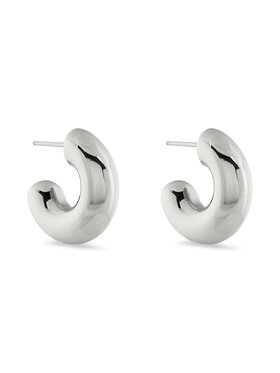 Aldo Aldo Orecchino Cralir 13868555 Argento