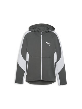 Puma Puma Bluza 678995 Szary Regular Fit