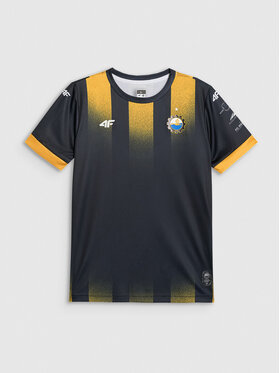 4F 4F Koszulka techniczna TEAMWEAR Kolorowy Regular Fit