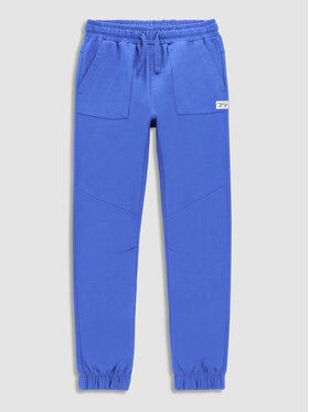 Coccodrillo Coccodrillo Spodnie dresowe WC3120103SKK Granatowy Slim Fit