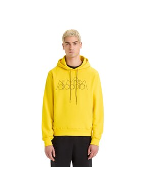 Diadora Diadora Bluza HOODIE ROUTE Żółty Basic Fit