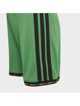 adidas adidas Szorty sportowe 165021 Zielony Regular Fit