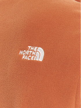 Fleece The North Face φωτογραφία