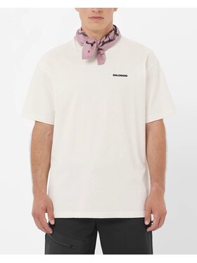 Salomon Salomon T-Shirt CHEST LOGO RELAXED TEE M Beżowy Relaxed Fit
