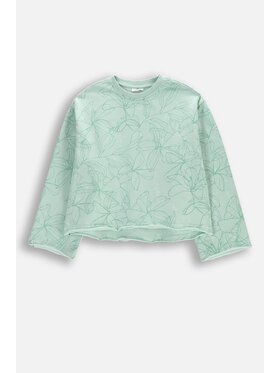 Coccodrillo Coccodrillo Bluza WC5132101TGJ-011 Zielony Regular Fit