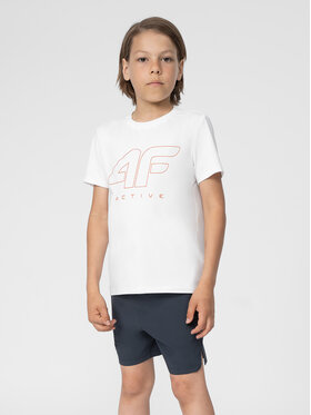 4F 4F Спортни шорти 4FJSS23TFSHM151 Сив Regular Fit