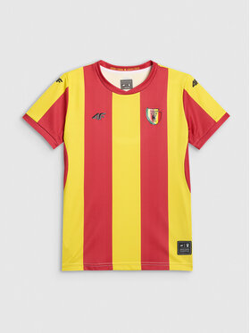 4F 4F Koszulka techniczna TEAMWEAR Kolorowy Regular Fit
