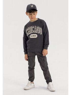 MINOTI MINOTI Spodnie cargo 23pant4 Szary Regular Fit