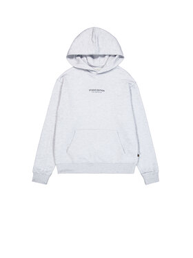 Alpha Industries Alpha Industries Bluza Studio Edition Backprint Hoodie Szary Loose Fit