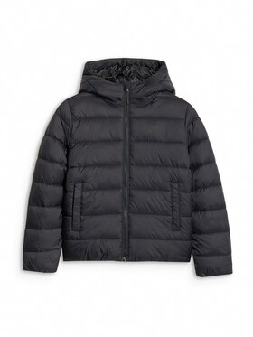 4F 4F Kurtka puchowa OUTERWEAR Czarny Regular Fit