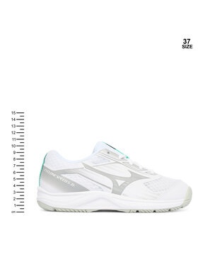 Παπούτσια Σάλας Mizuno φωτογραφία