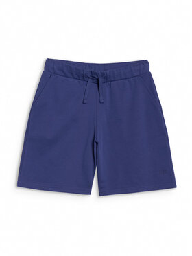 4F 4F Szorty sportowe BASIC+ Niebieski Oversize
