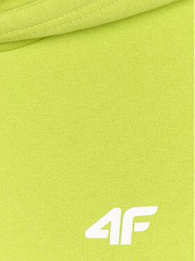 4F 4F Bluza TEAMWEAR Zielony Regular Fit