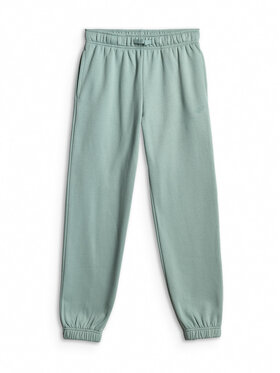 4F 4F Spodnie dresowe BASIC+ Turkusowy Regular Fit