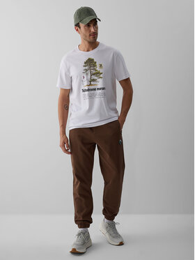 4F 4F Spodnie dresowe OVERLAND Brązowy Regular Fit