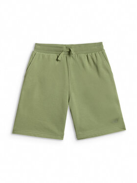4F 4F Szorty sportowe BASIC+ Turkusowy Regular Fit