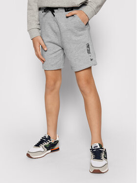 4F 4F Szorty sportowe HJL21-JSKMD003B Szary Regular Fit