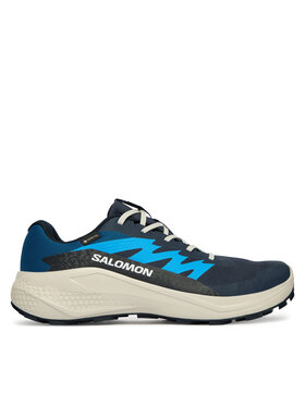 Salomon Salomon Běžecké boty Alphaglide Gtx L47975100 Modrá