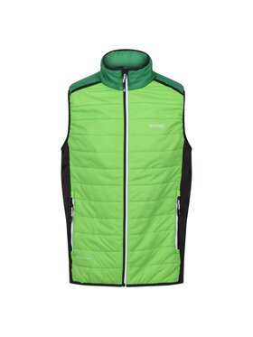 Regatta Regatta Kurtka outdoor Halton Baffled VII Zielony Ergonomic Fit