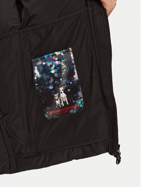 Μπουφάν μεταβατικό Frieda & Freddies φωτογραφία