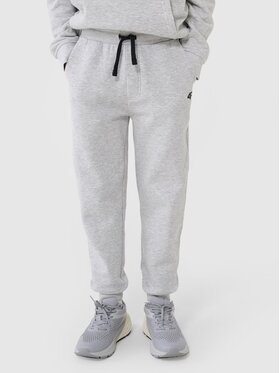 4F 4F Spodnie dresowe 4FJWSS25TTROM1112-27M Szary Regular Fit