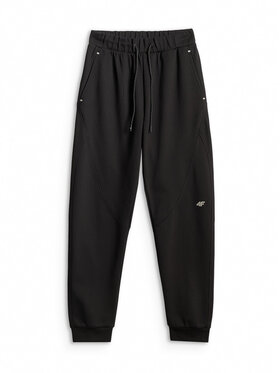 4F 4F Spodnie dresowe TREKKING Czarny Regular Fit