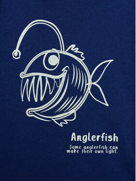 Σετ t-shirts Zippy φωτογραφία