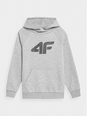 4F 4F Sweatshirt 4FJSS23TSWSM220 Grau Regular Fit